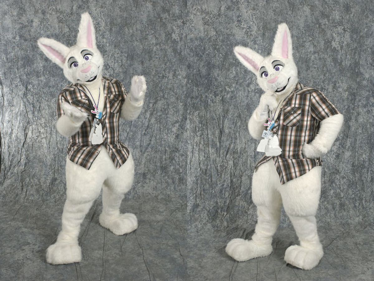 The Best Reflective Gear for Night Walks with Your Dog