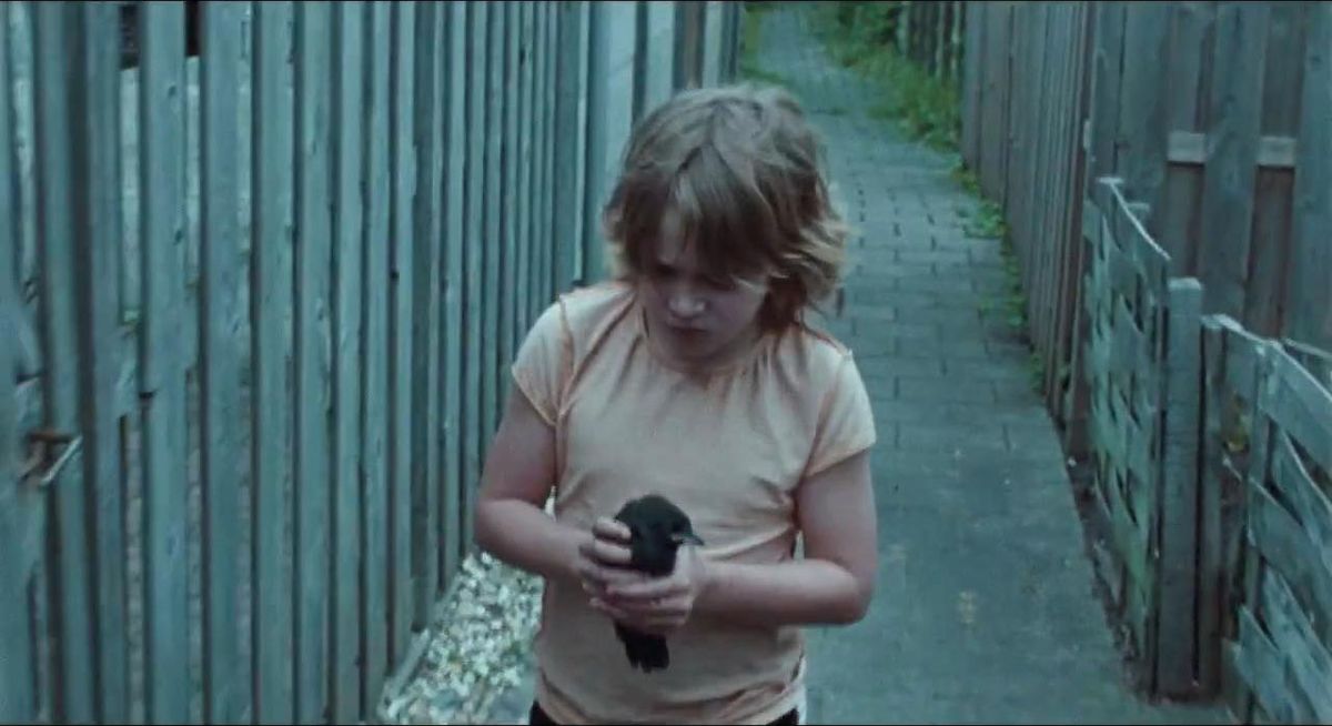 Training Your Dog to Stop Chewing Everything in Sight