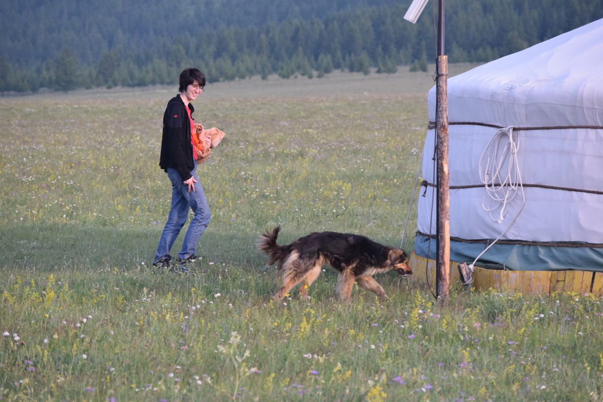 Essential Vaccinations for Your Dog's Health and Well-being