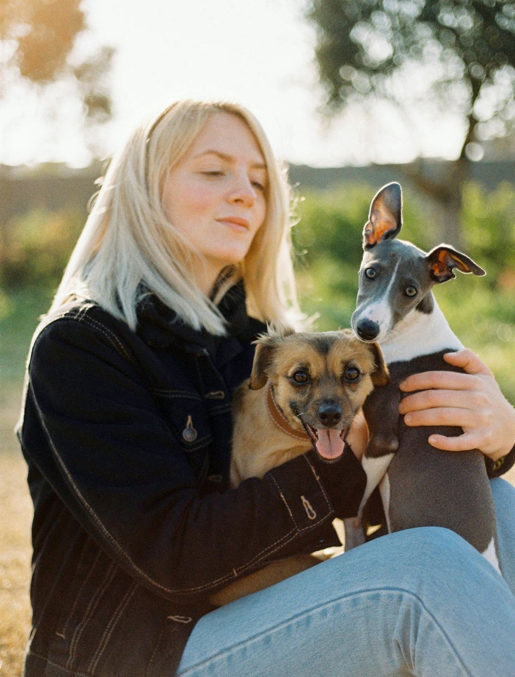 Dual Delight: Twin Dog Portraits to Cherish Your Furry Friends