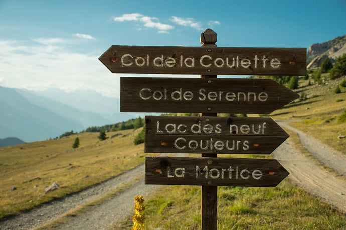 Essential Tips for Hiking with Your Dog