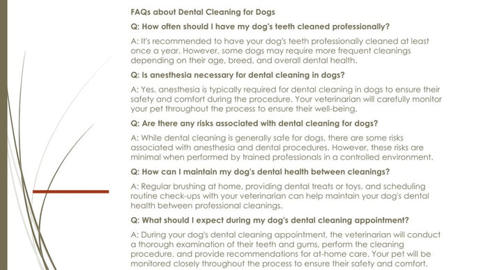 How to Maintain Your Dog's Dental Health Between Cleanings