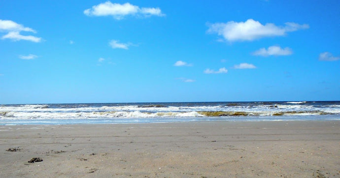 How to Keep Your Dog Safe on Boating Trips