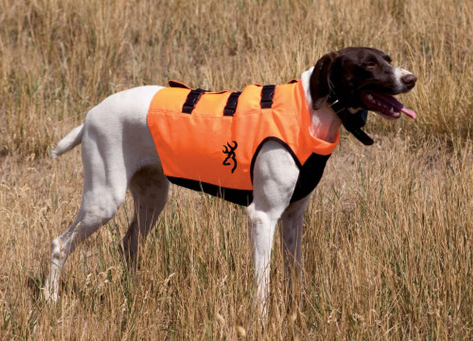 Coping Strategies for Dogs with Firework Phobia