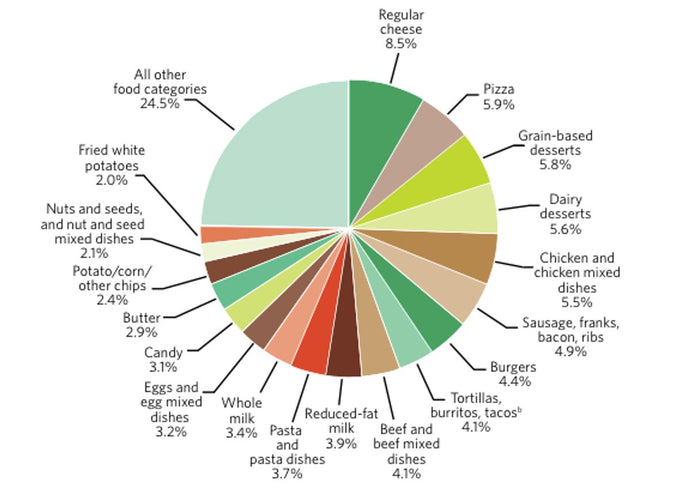 How to Care for Your Senior Dog: Diet and Health Monitoring