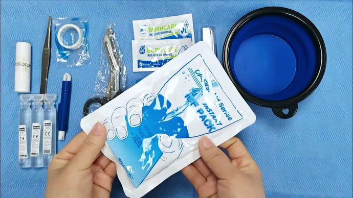 Organizing a Pet Emergency Kit: What You Need