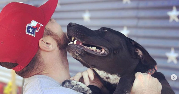 Tips for a Successful Dog Adoption Experience