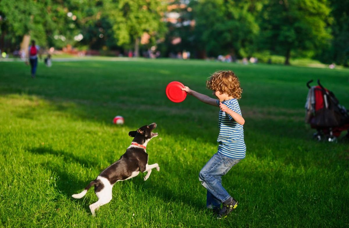 Socialization Techniques for a Well-Behaved Dog