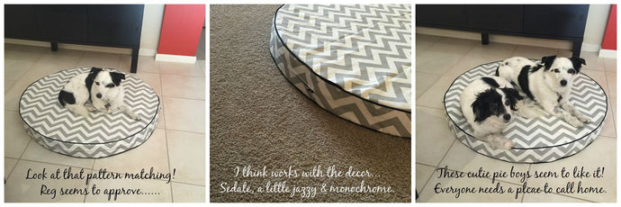 How to Choose the Right Dog Bed for Comfort and Support