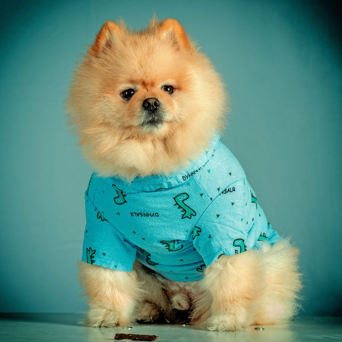Tail-Wagging Trends: Eye-Catching Dog Tee Shirts for Dogs