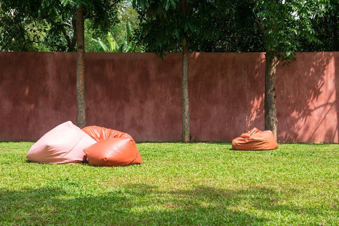 Creating a Dog-Friendly Backyard Space