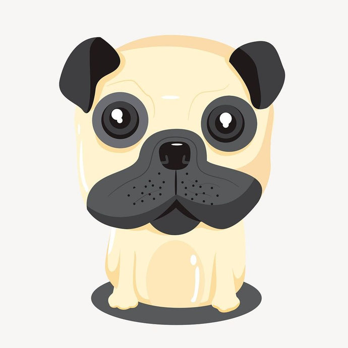 Dress to Impress: Trendy Dog Lovers' Clothing for Every Occasion