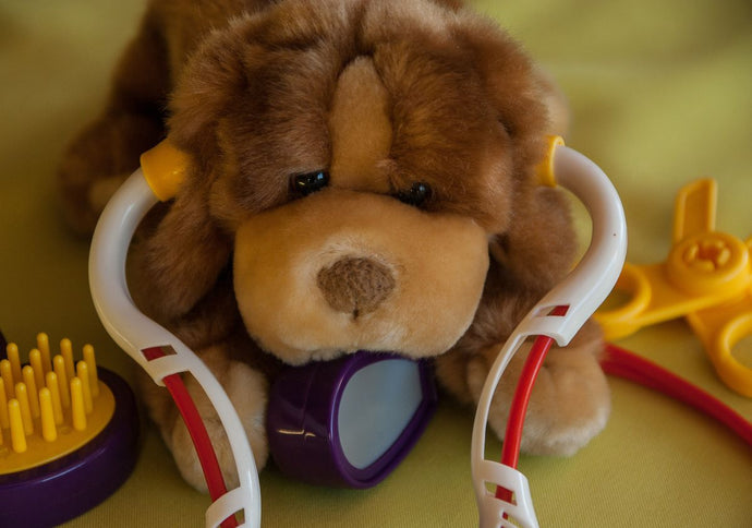 The Importance of Mental Stimulation for Dogs