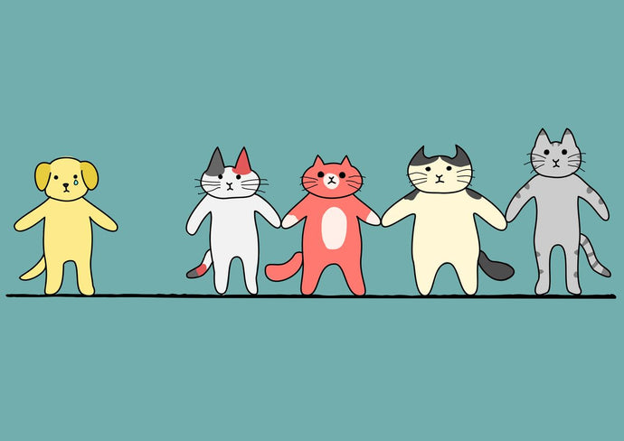 Deworming Your Dog: When, Why, and How