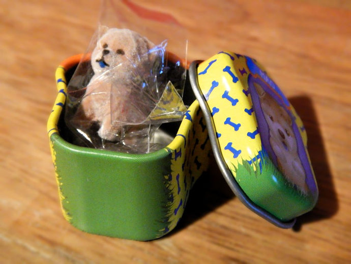 Must Haves for a New Puppy: The Essential Checklist