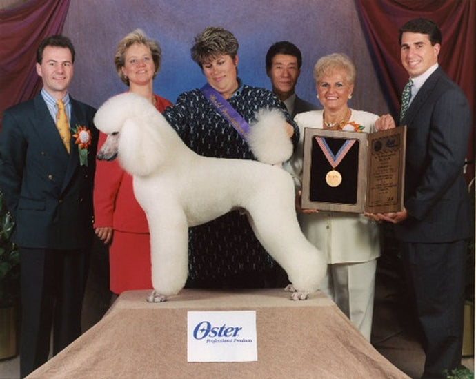 Homemade Dog Shampoo Recipes for Sensitive Skin