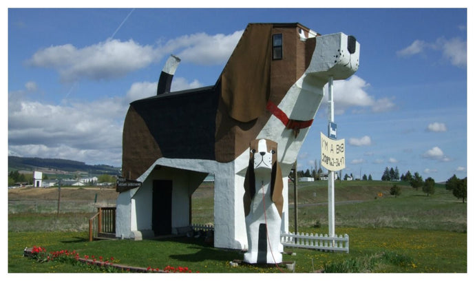 How to Stop Your Dog's Excessive Barking