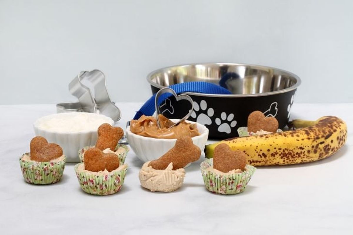 Homemade Dog Treats: Recipes for Healthy Snacks