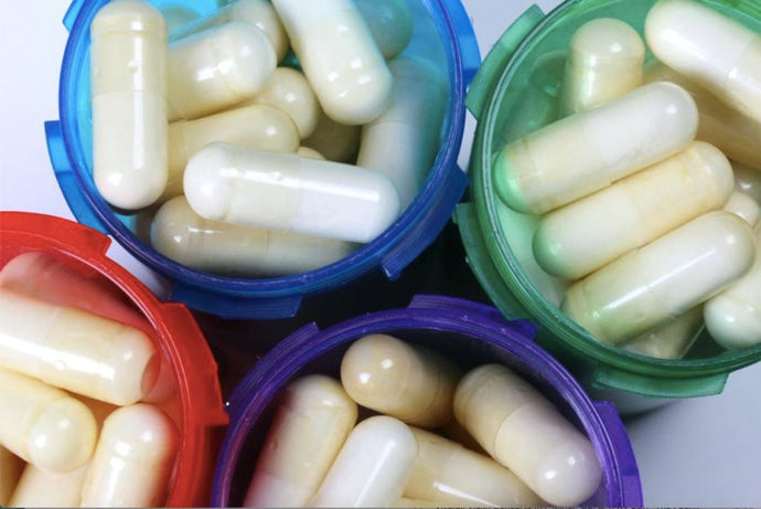 The Role of Probiotics in Your Dog's Diet