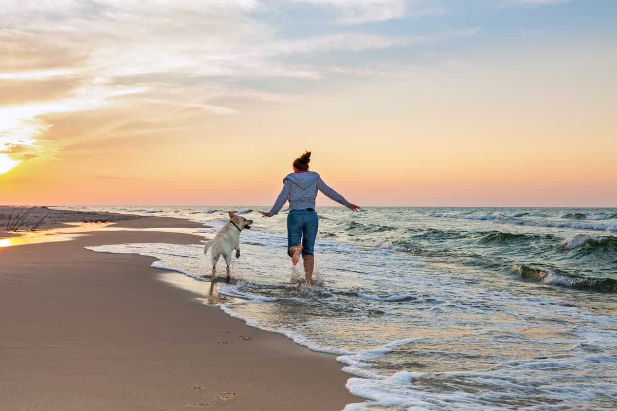 Planning Dog-Friendly Vacations: Top Destinations
