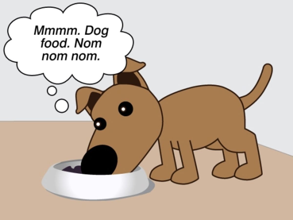How to Create a Balanced Homemade Dog Food Diet