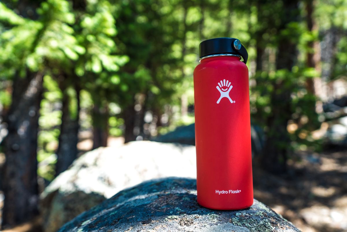The Latest Trends in Eco-Friendly Dog Products