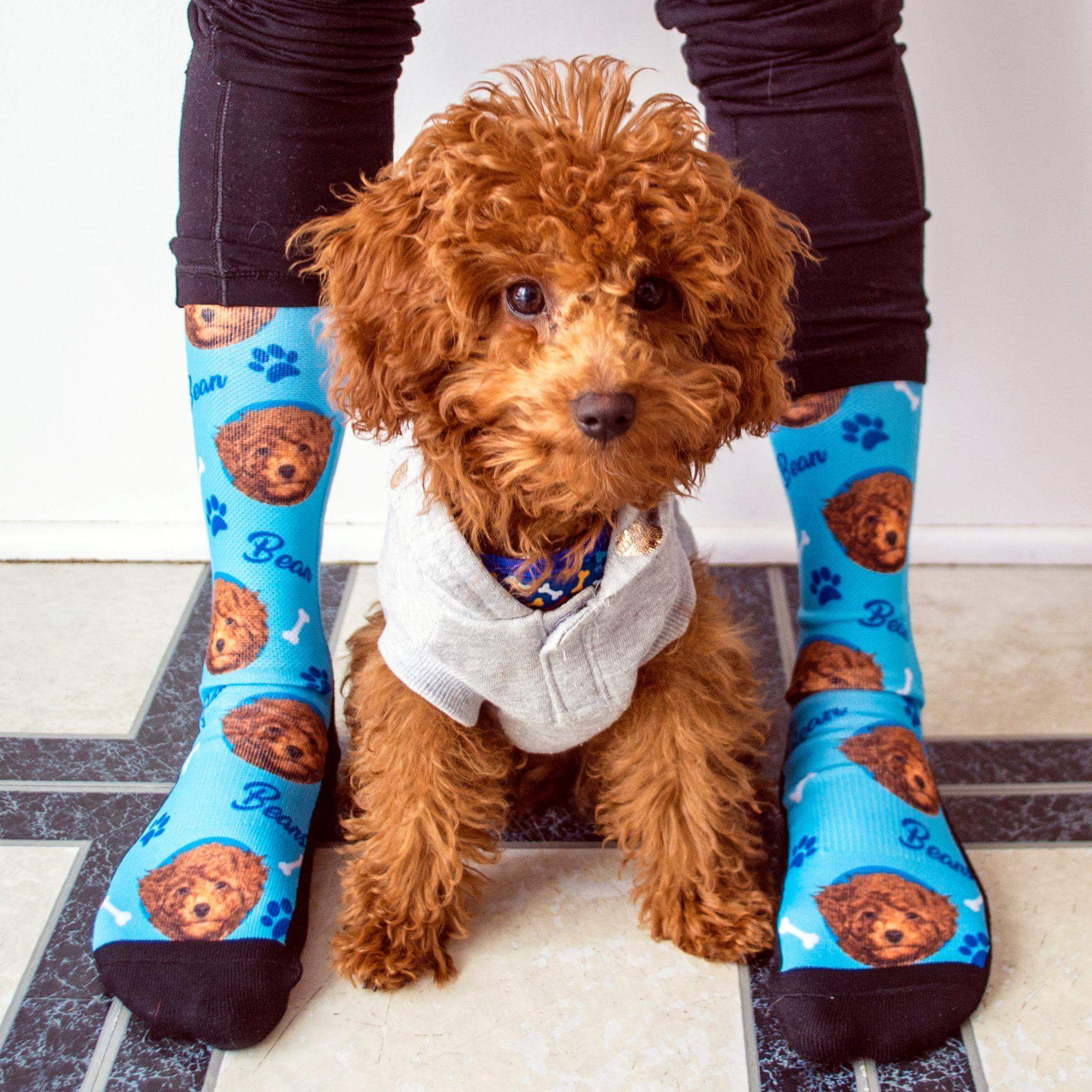 Custom Dog Socks For Dog Lovers - Cute Socks To Keep Your Feet Warm