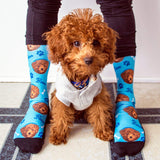 Custom Pet Socks (HOT SELLING)