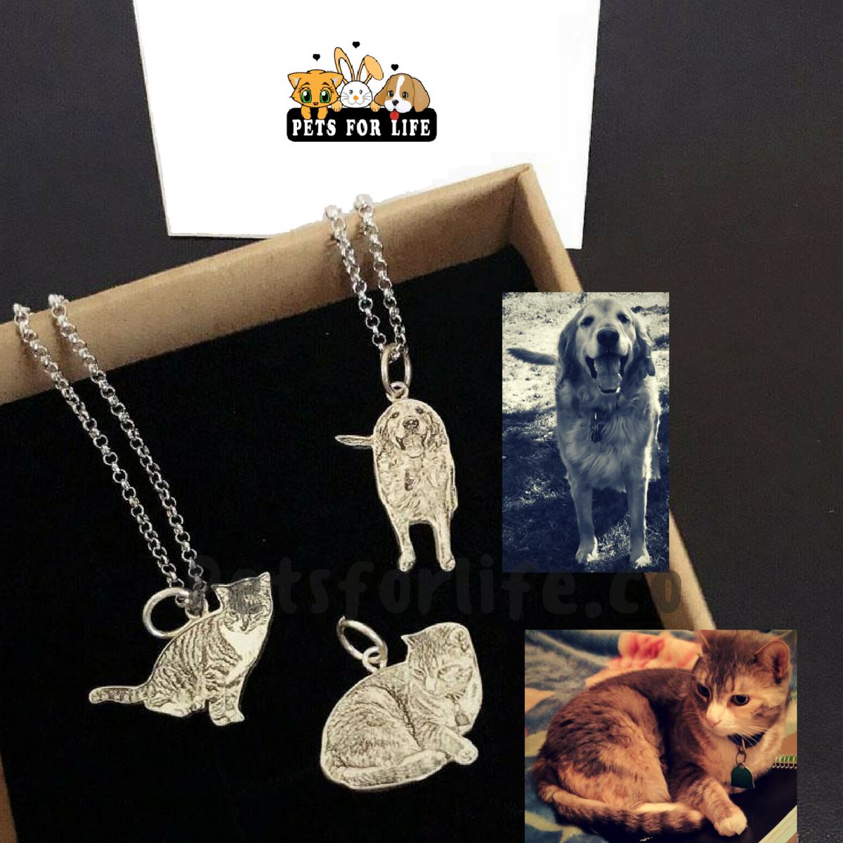 Buy Cat Memorial Gifts-Dog Remembrance-Custom Picture Necklace- Personalized  Engraved Photo Pendant-Pet Lover Sympathy Gift-Rose Gold Paw Print in  Memory of Kitten or Puppy-A Caring Keepsake for Pet Loss Online at Low  Prices